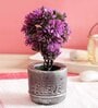 Pink Polyester Artificial Bonsai Plant With Grey Resin Pot