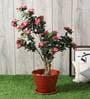 Pink Polyester Artificial Plant Without Pot