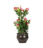 Polyester Pink Morning Glory Bonsai With Ceramic Vase Artificial Plants