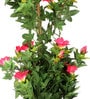 Polyester Pink Morning Glory Bonsai With Ceramic Vase Artificial Plants