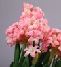 Pink Bunch Artificial Flower White Pebbles & Ceramic Pot