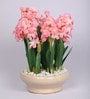 Pink Bunch Artificial Flower White Pebbles & Ceramic Pot