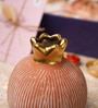 Pink Pomegranate Rakhi Gift Hamper