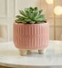 Pink  3.5-Inch Ceramic Flower Pot
