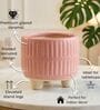 Pink  3.5-Inch Ceramic Flower Pot