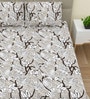 Grey Printed 220 Tc Cotton Super King Bedsheet With 2 Pillow Covers