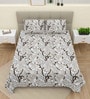 Grey Printed 220 Tc Cotton Super King Bedsheet With 2 Pillow Covers