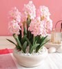 Pink Pvc Hyacinth Artificial Bonsai With Off- White Ceramic Pot