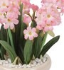 Pink Pvc Hyacinth Artificial Bonsai With Off- White Ceramic Pot