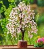 Pink Quartz Stone Fortune Crystal Tree Showpiece