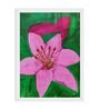 Pink Shoe Flower  Handmade Acrylic Paint On Canvas Unframed
