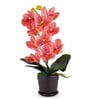 Pink Silk Fabric Coral Luxe Orchid Arrangement Pot With Flower