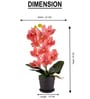 Pink Silk Fabric Coral Luxe Orchid Arrangement Pot With Flower