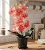 Pink Silk Fabric Coral Luxe Orchid Arrangement Pot With Flower