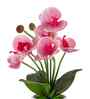 Pink Silk Fabric Orchid Radiance Arrangement Pot With Flower