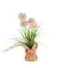 Pink Silk Plastic And Jute Faux Allium Flower Bunch With Jute Wrap