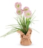 Pink Silk Plastic And Jute Faux Allium Flower Bunch With Jute Wrap
