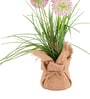 Pink Silk Plastic And Jute Faux Allium Flower Bunch With Jute Wrap
