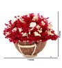 Pink Sola Natural Dried Flowers On Coconut Shell Decorated With Coir