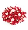 Pink Sola Natural Dried Flowers On Coconut Shell Decorated With Coir