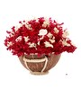 Pink Sola Natural Dried Flowers On Coconut Shell Decorated With Coir