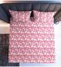 Pink Floral  TC Cotton Super King Bedsheet with 2 Pillow Covers