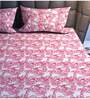 Pink Floral  TC Cotton Super King Bedsheet with 2 Pillow Covers