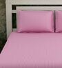 Pink Stripes 280 TC Cotton King Sized Bed Sheets with 2 Pillow Covers
