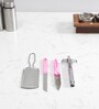 Pink Stainless Steel Kitchen Tool Set (Set Of 4 )