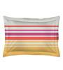 Pink Striped 104 TC Cotton Single Bed Sized Bed Sheets With 1 Pillow Cover