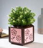 Pink Teak Wood Qubo Series Foggy Cluster Handmade Wooden Deskpot Desk Pot