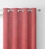 Pink Velevt Solids 7ft Light Filtering Eyelet Door Curtain