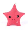 Pink Velvet Star Shaped Pillow