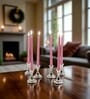 Pink Wax Taper Candles Set Of 6