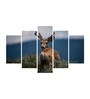 Blue Wood Multiple Frames Beautiful Swamp Deer Nature Art Panels