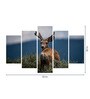 Blue Wood Multiple Frames Beautiful Swamp Deer Nature Art Panels