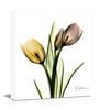 Pink Yellow tulips Faith Poster Print Flower Canvas art Print, Modern X-Ray Wall Painting For Living Room D cor