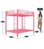 Pinkin Metal Bunk Bed in Pink Colour
