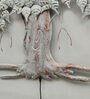 Iron Piple Tree Wall Art With LED In White