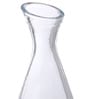 Glass 500 ML Pisa Decanter