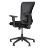 Pivica Medium Back Ergonomic Chair In Black Colour