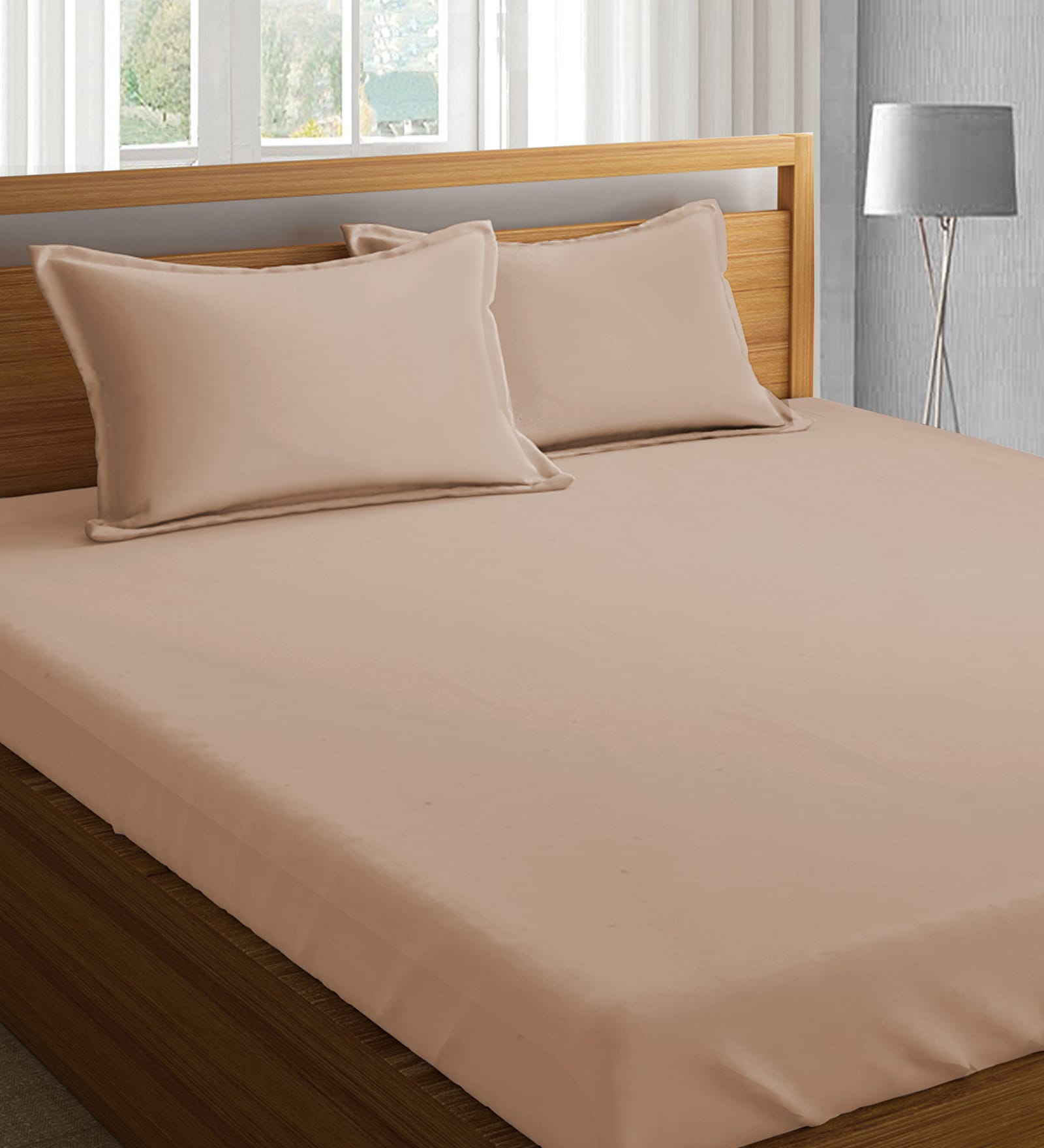 Plain Collection Cotton 800TC King Size Bedsheet with 2 Pillow Covers