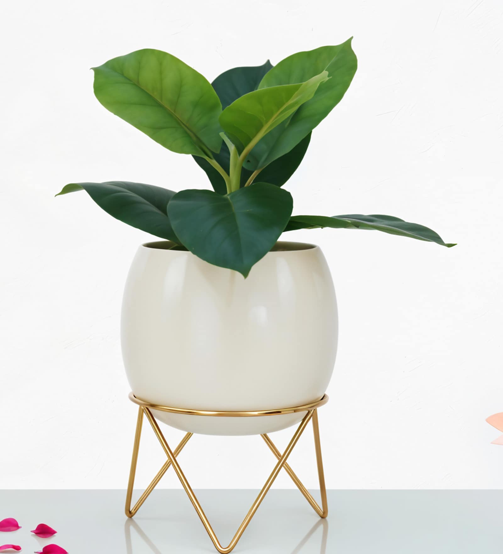 Metal Round Planter on Tripod Stand