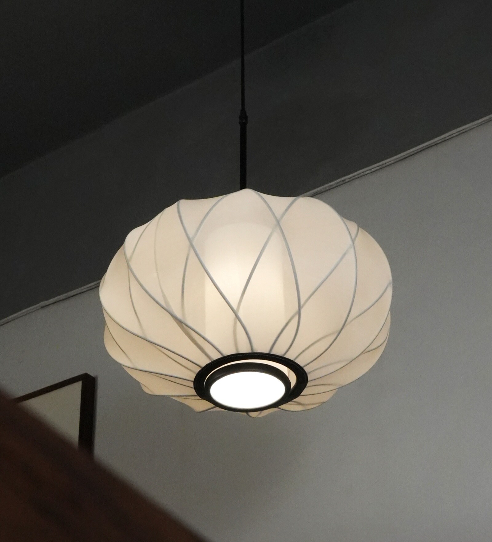 Plasma Pendant Lamp