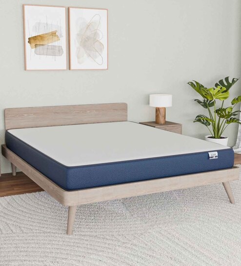 Plus Orthopedic 6 Inch PU & Memory Foam Queen Size Mattress