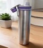 Purple Plain Stainless Steel Sports Water Bottle with Flip Top Cap & Carry Loop, 700 ml