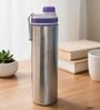 Purple Plain Stainless Steel Sports Water Bottle with Flip Top Cap & Carry Loop, 700 ml
