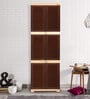 Planet Polypropylene (PP) Plastic Cabinet in Brown Finish