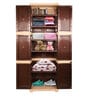 Planet Polypropylene (PP) Plastic Cabinet in Brown Finish