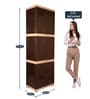 Planet Polypropylene (PP) Plastic Cabinet in Brown Finish